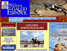 Tablet Screenshot of galgoes.com